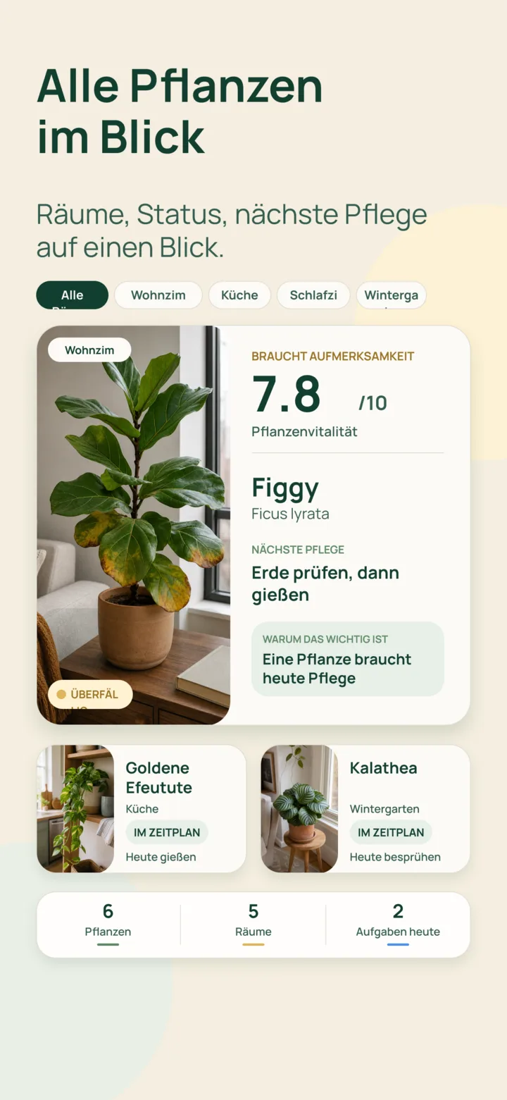 Pflanzensammlung und Pflegeübersicht in Listva