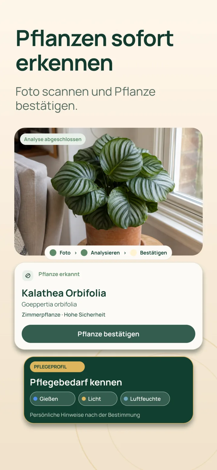 KI-Pflanzenbestimmung in Listva