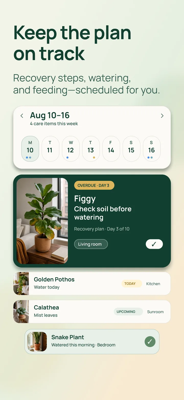 Listva plant recovery calendar