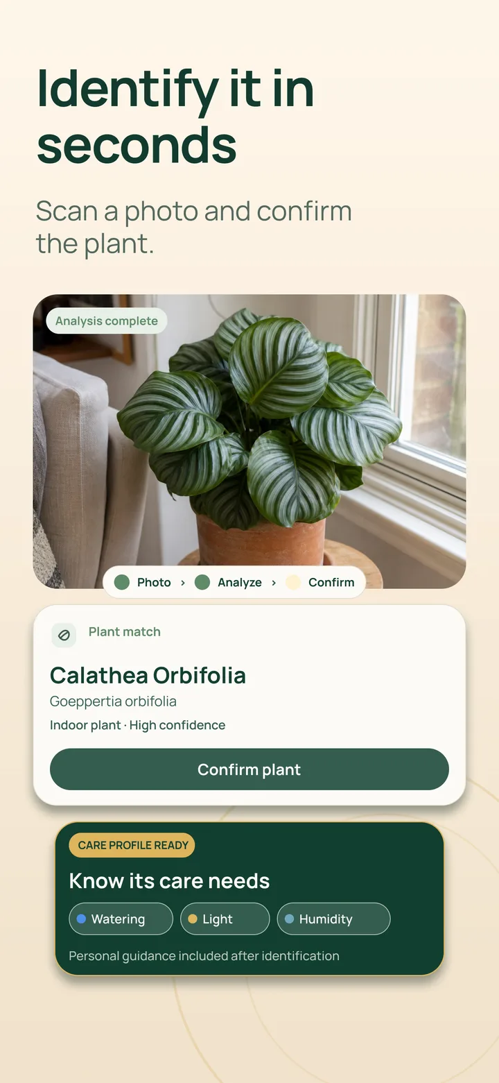 Listva AI plant identification