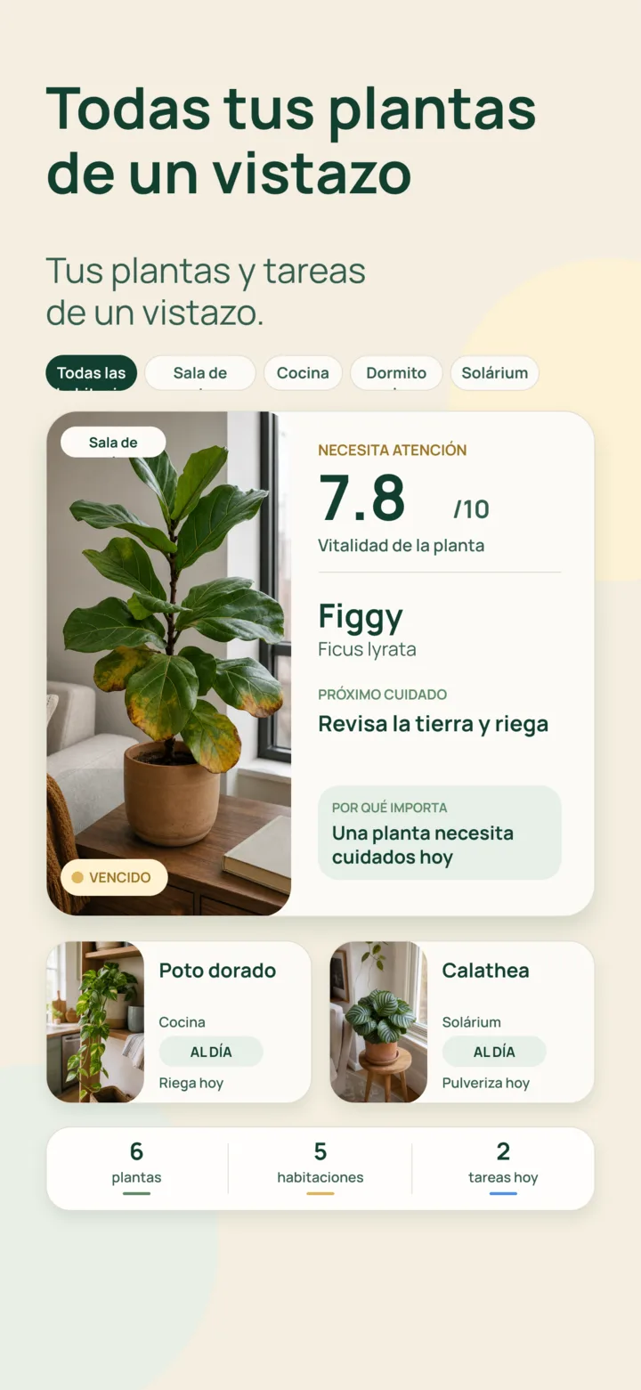 Colección de plantas y cuidados en Listva