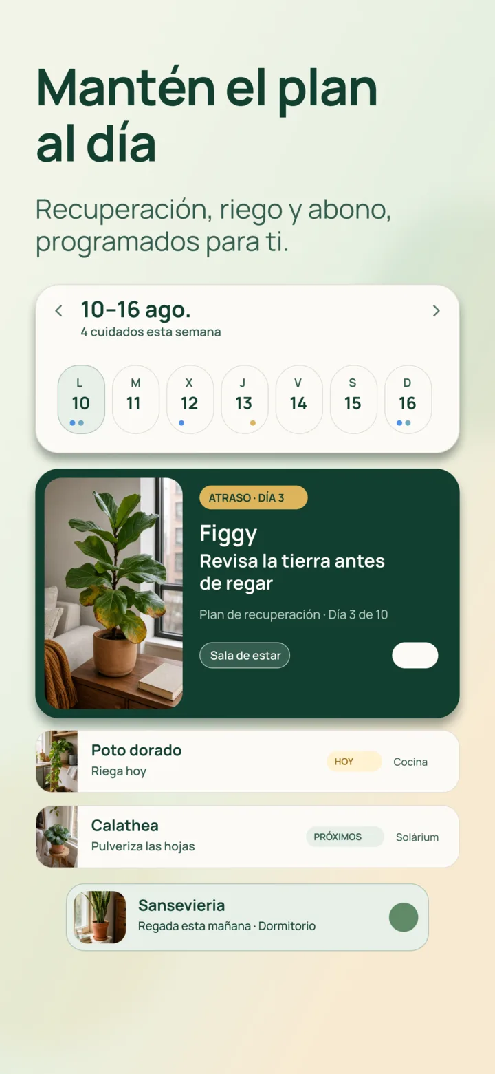 Calendario de recuperación en Listva