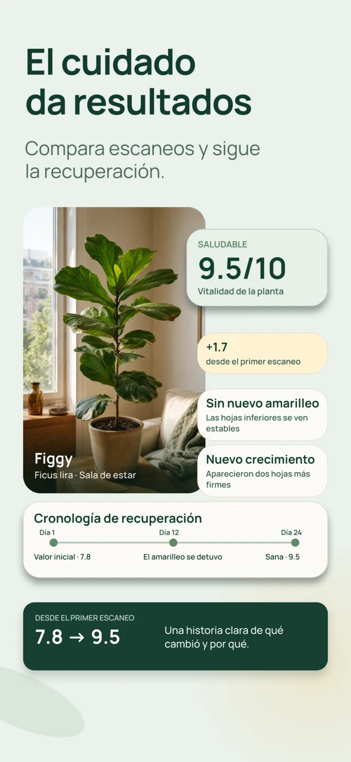 Comparación del progreso en Listva