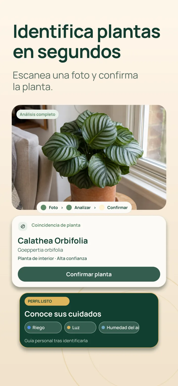 Identificación de plantas con IA en Listva