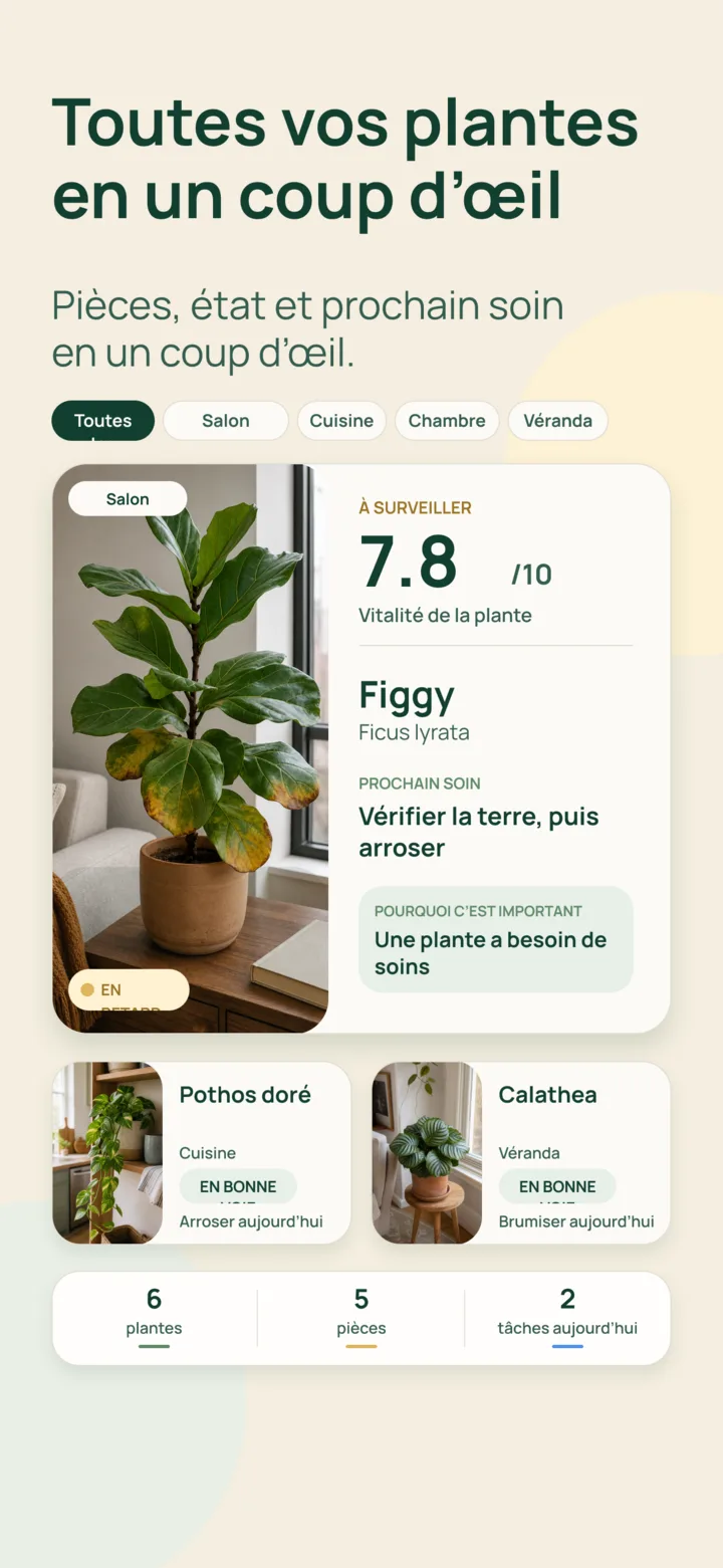 Collection de plantes et soins dans Listva