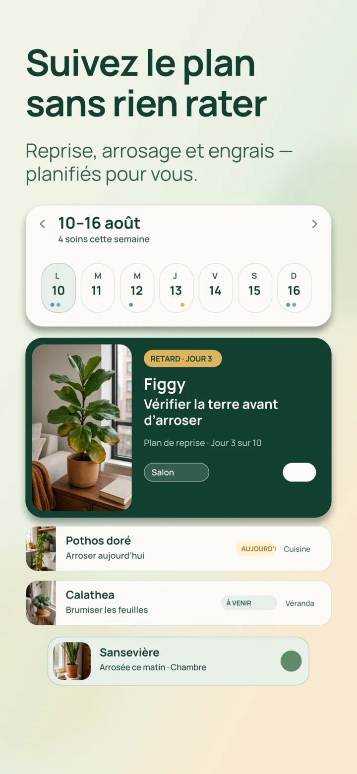 Calendrier de rétablissement dans Listva
