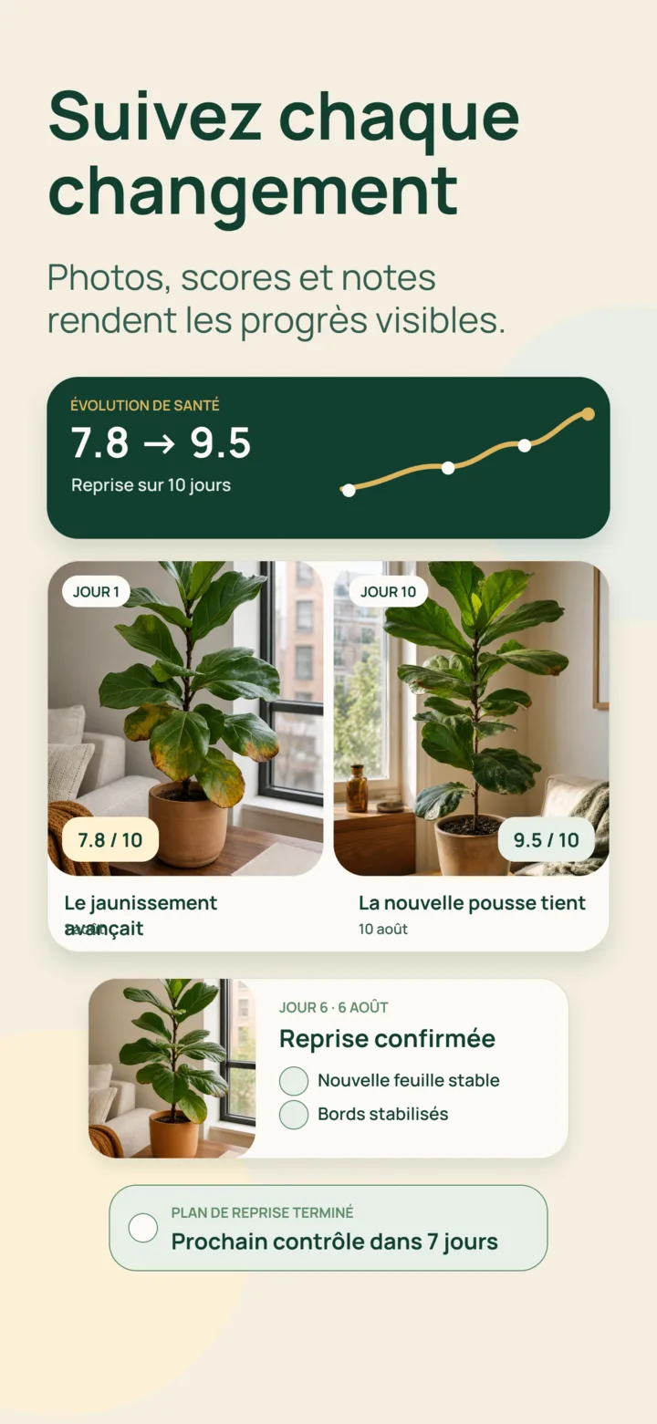 Historique d’entretien dans Listva