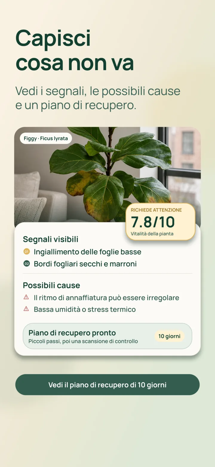 Analisi IA dei segnali visibili in Listva