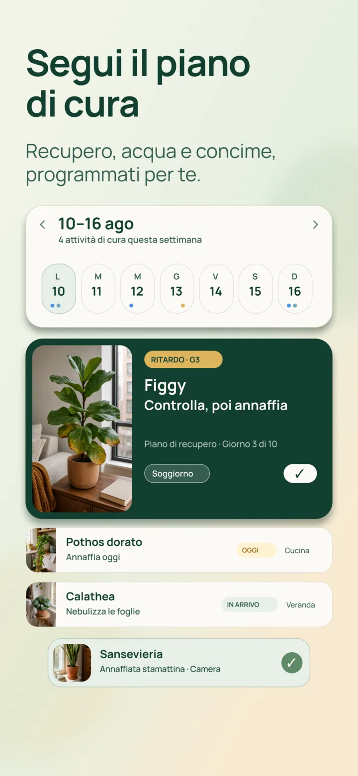 Calendario di recupero in Listva