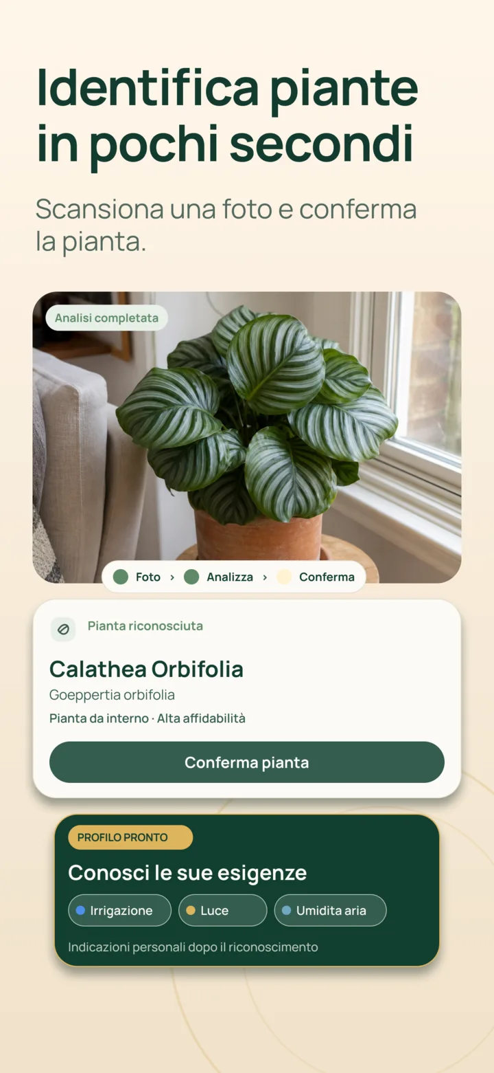 Identificazione della pianta con IA in Listva