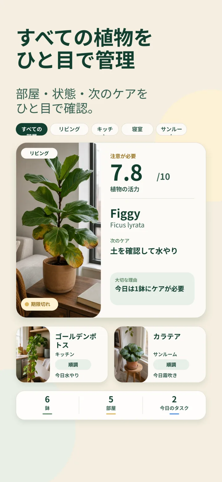 Listvaの植物コレクションとケア概要