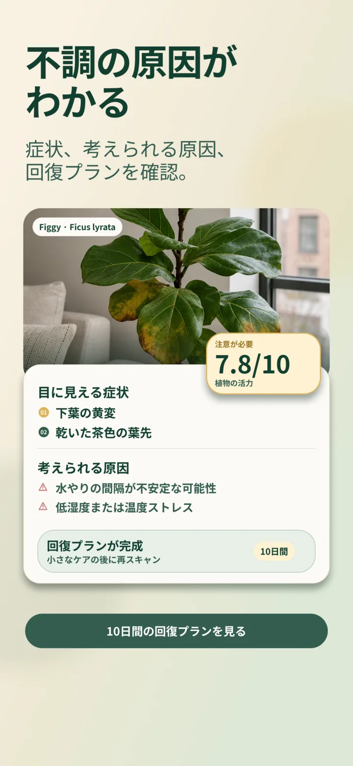 ListvaのAIによる見えるサインの分析