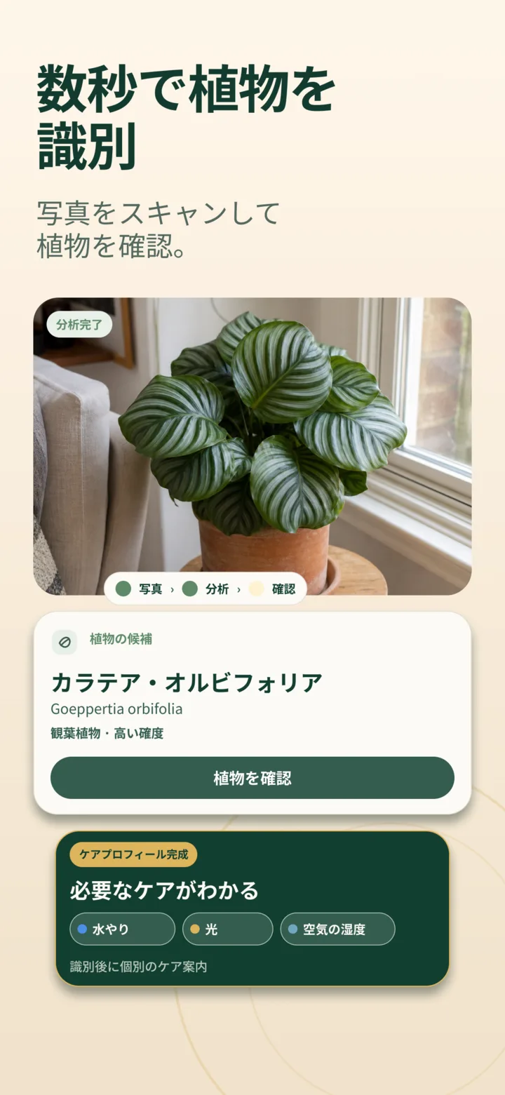 ListvaのAI植物判定