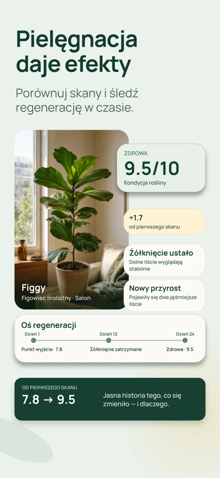 Porównanie postępów w Listvie