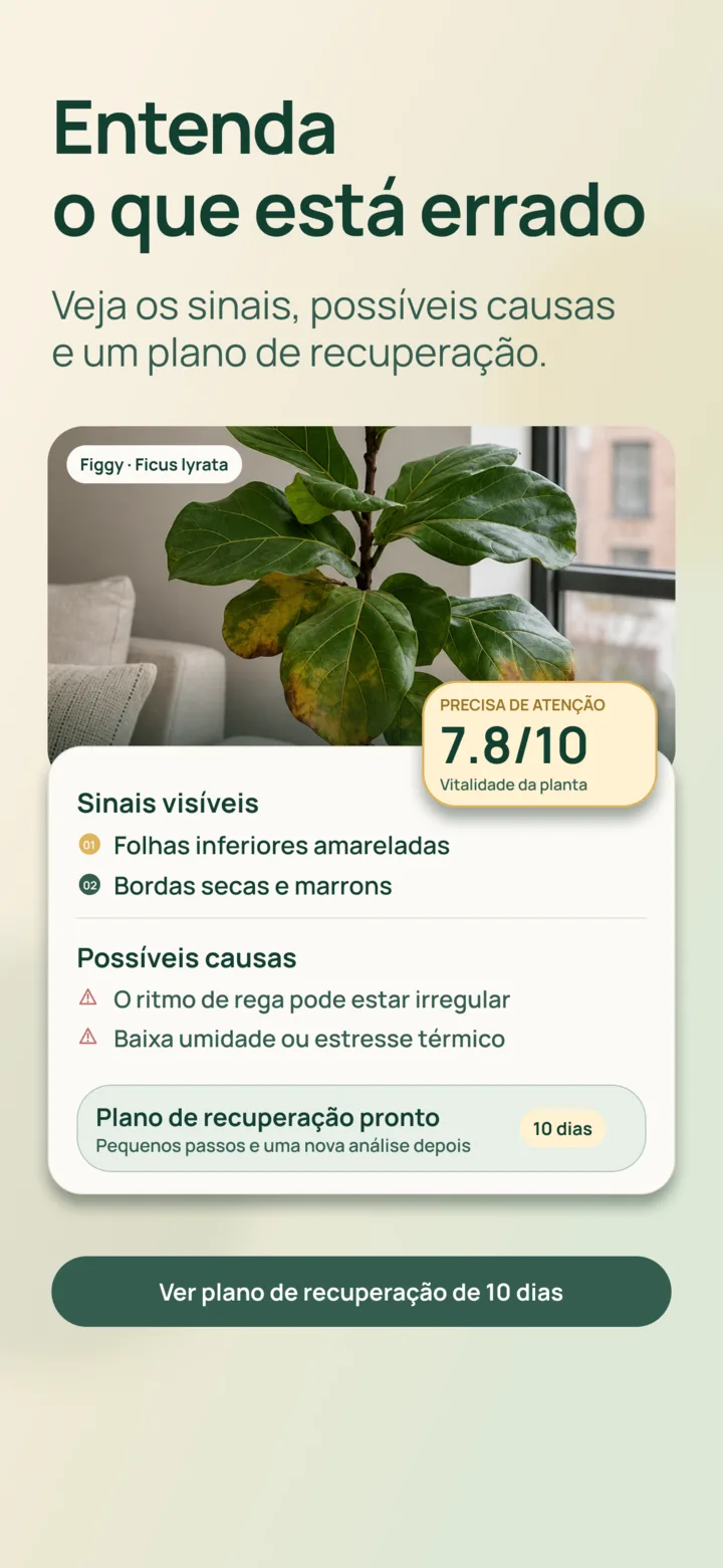 Análise por IA de sinais visíveis no Listva