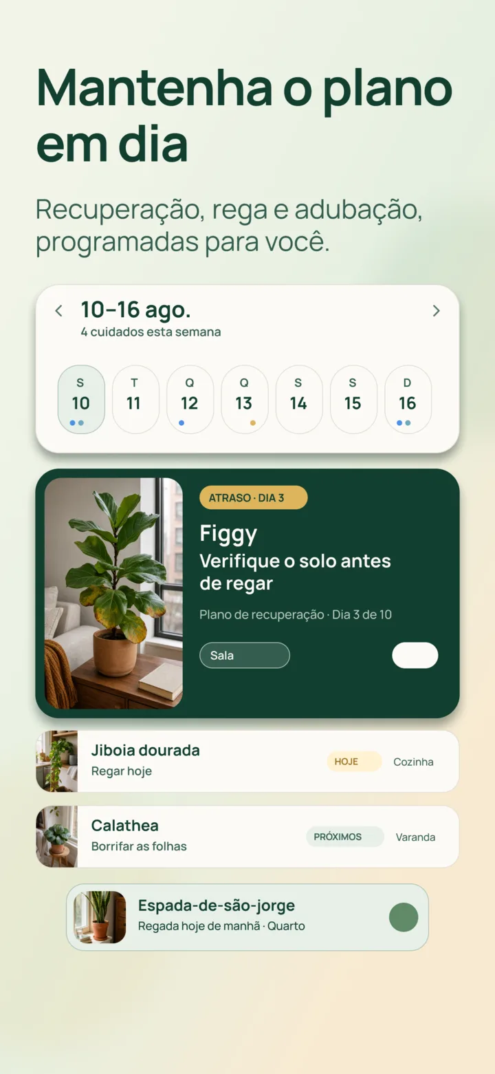 Agenda de recuperação no Listva