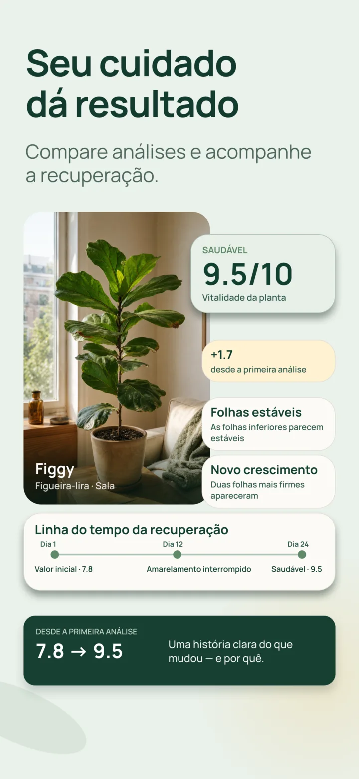 Comparação do progresso no Listva
