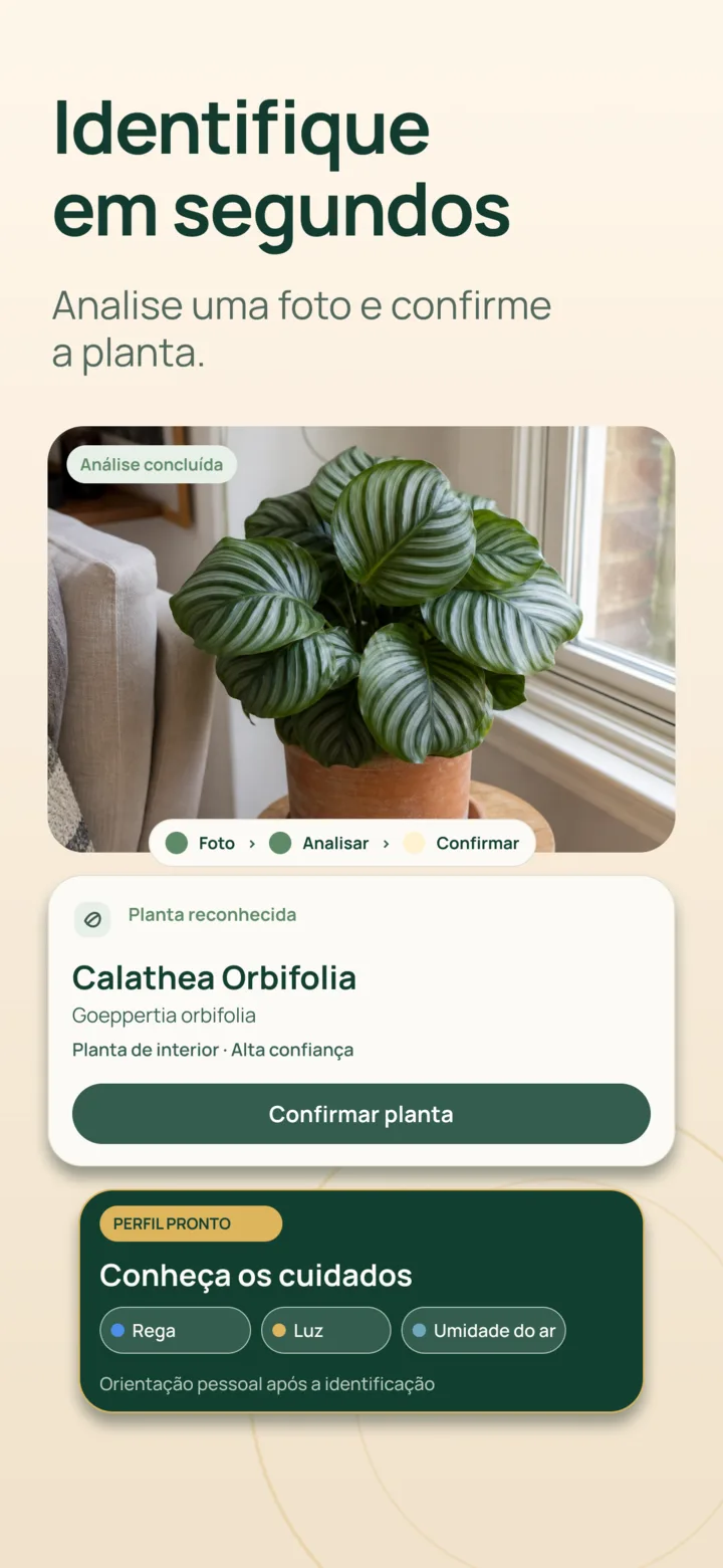 Identificação de plantas por IA no Listva