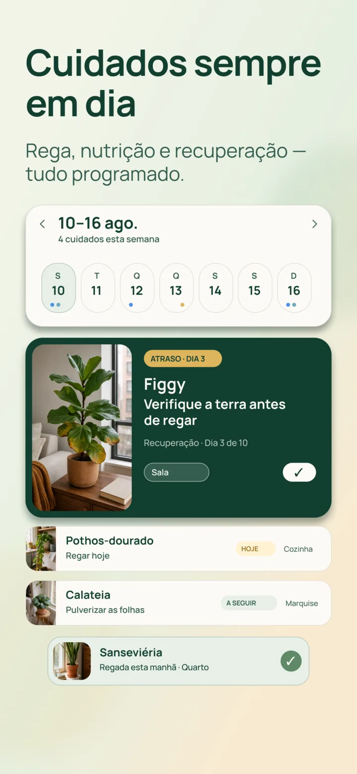 Calendário de recuperação na Listva