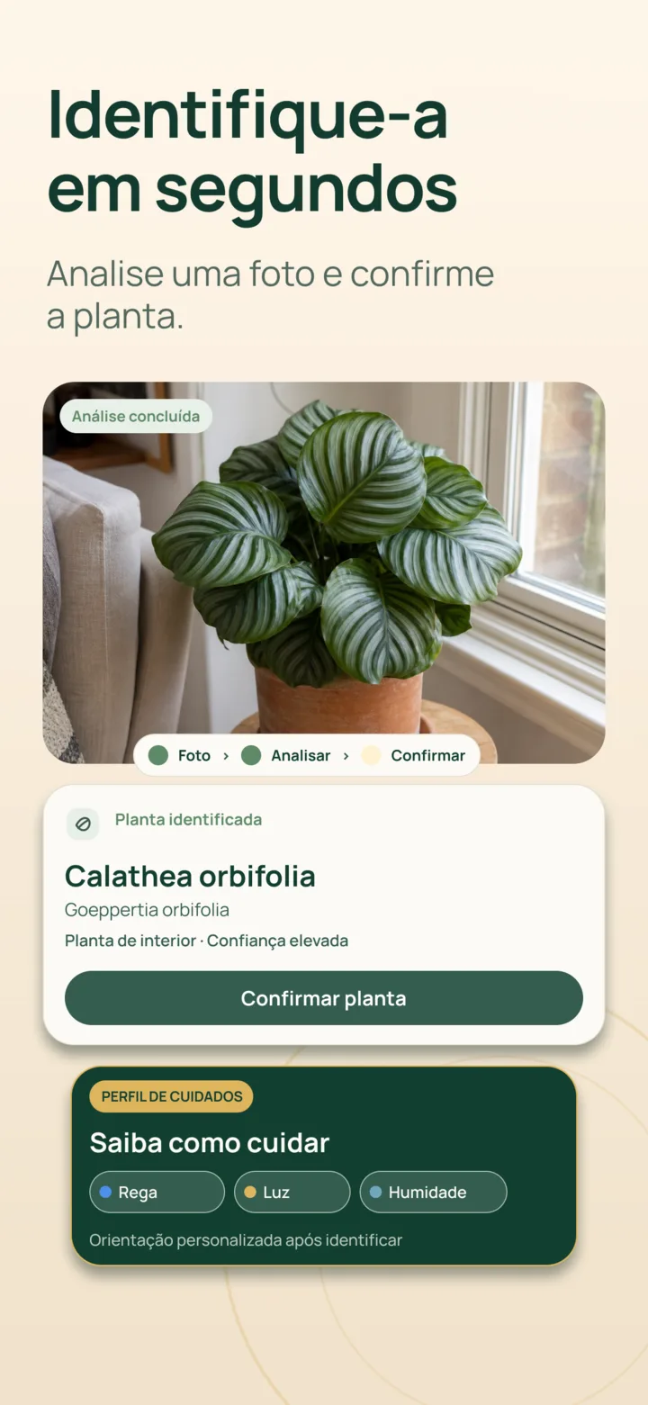 Identificação de plantas por IA na Listva