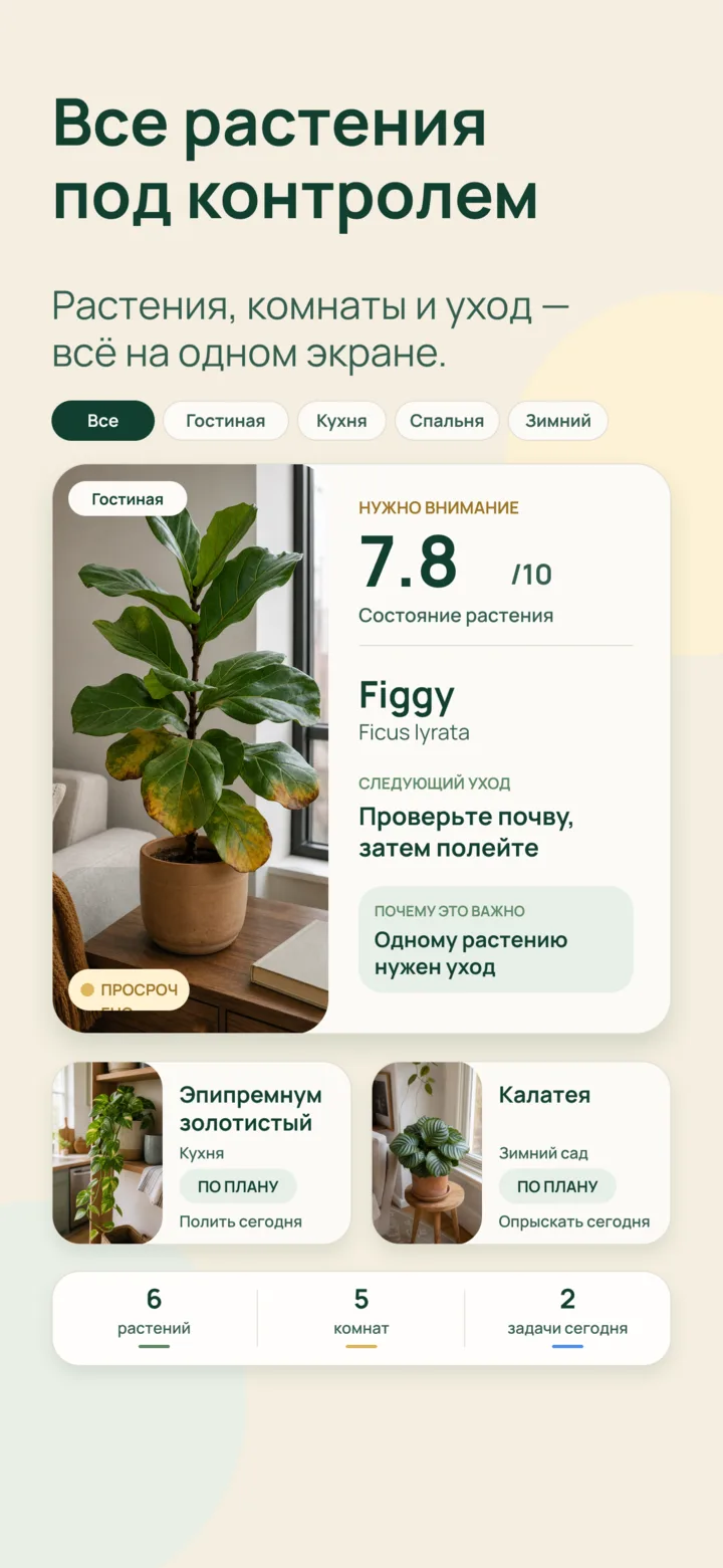 Коллекция растений и уход в Listva
