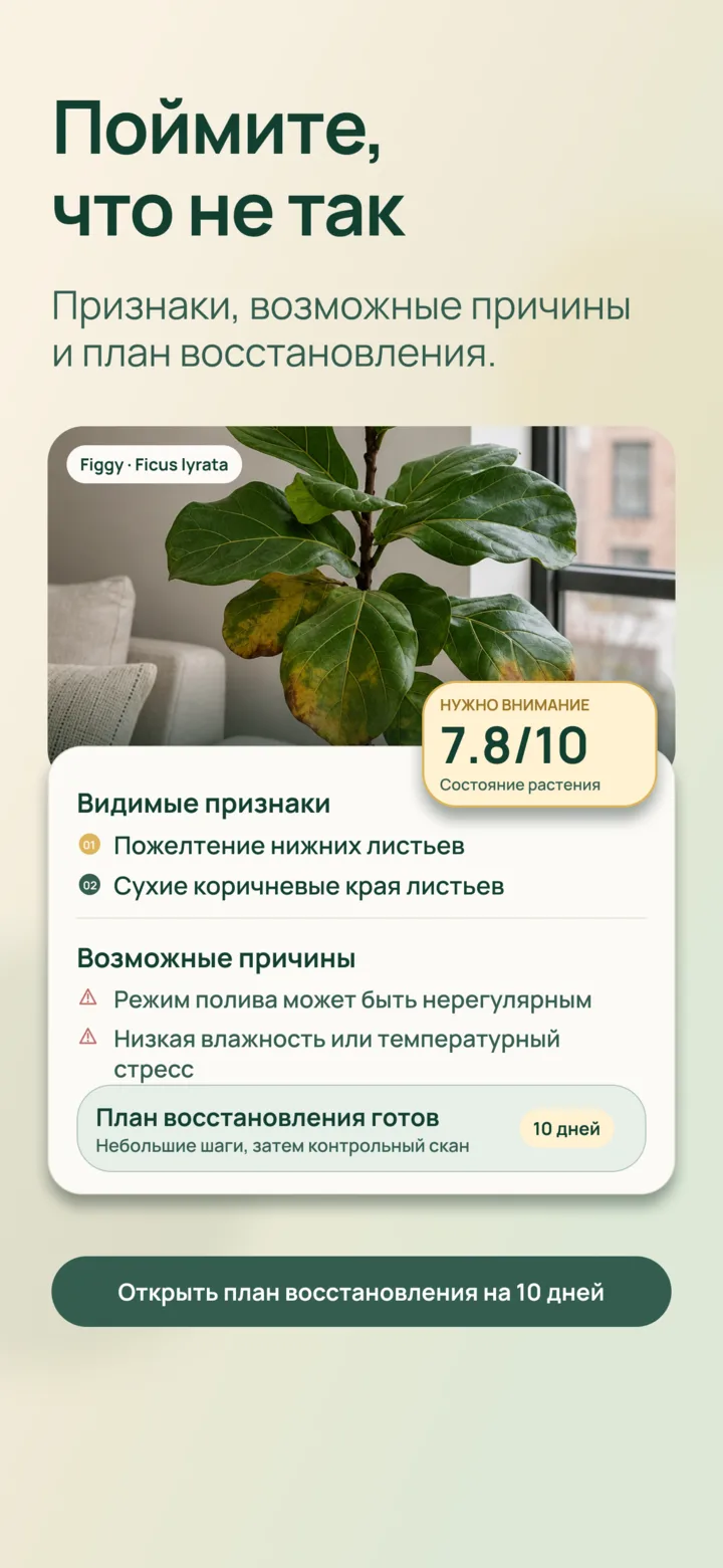 Анализ видимых признаков с помощью ИИ в Listva