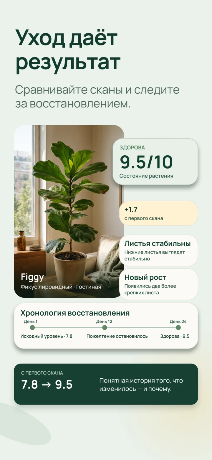 Сравнение прогресса ухода в Listva