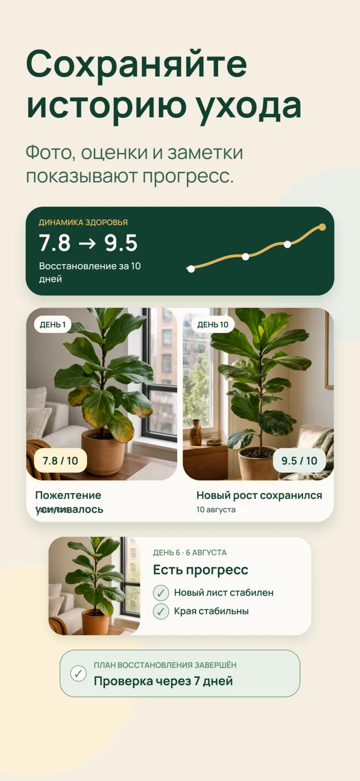 История ухода в Listva