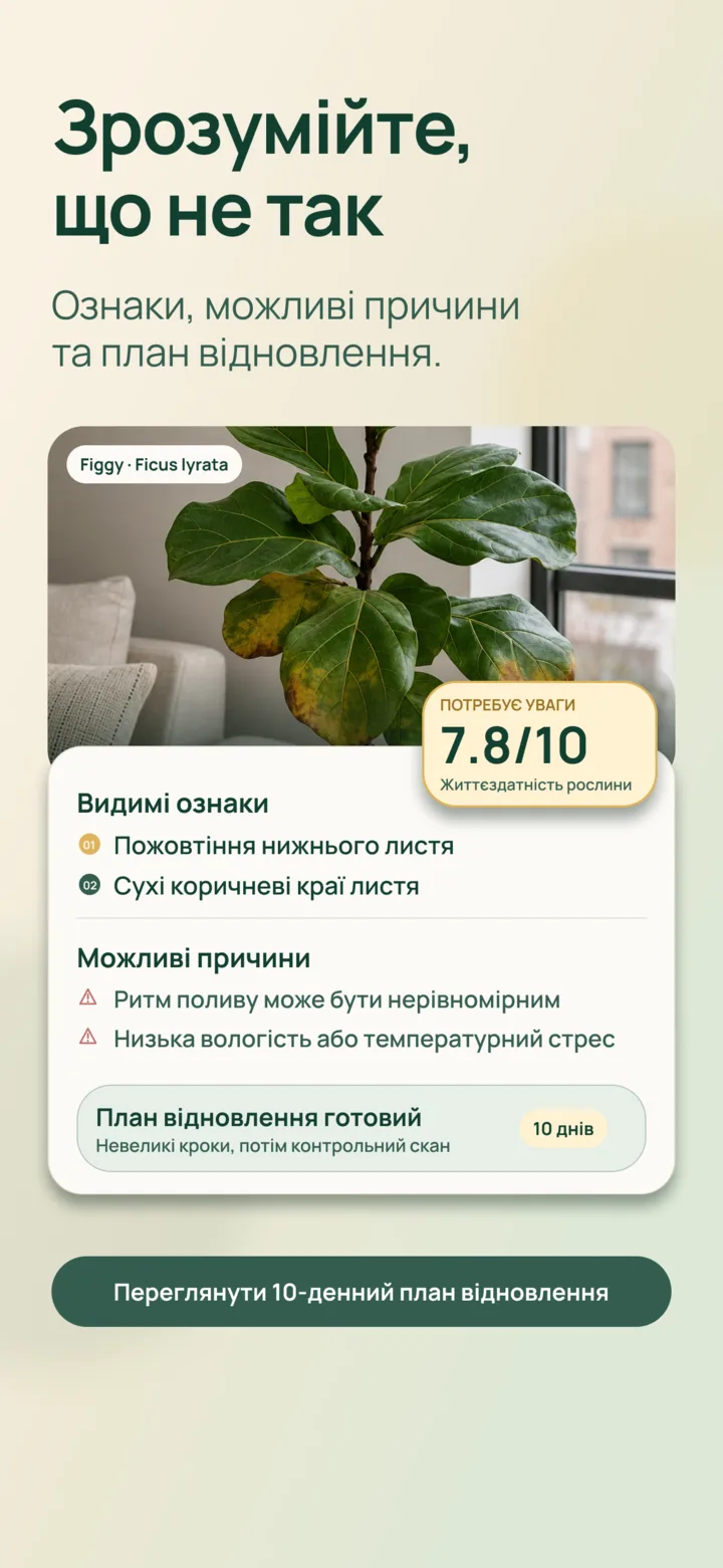 Аналіз видимих ознак за допомогою ШІ у Listva